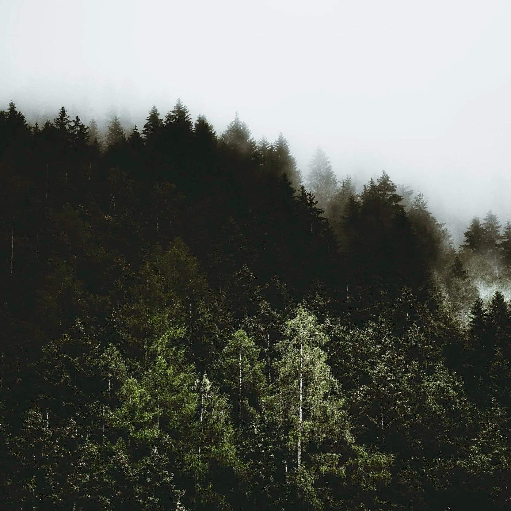 unsplash-image-MPaoDigkbGA.jpg